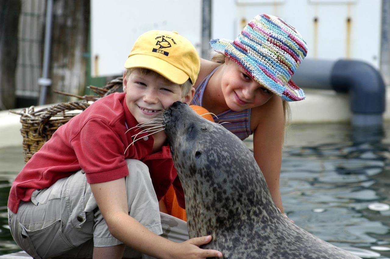 Vakantiehuis La Petite Redousse レーネスセ エクステリア 写真
